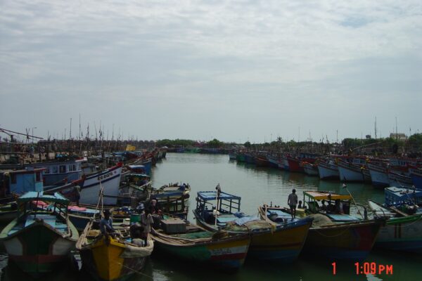 India’s 5th Marine Fisheries Census: VyAS-NAV Mobile App Launched A view of fishing harbour in India