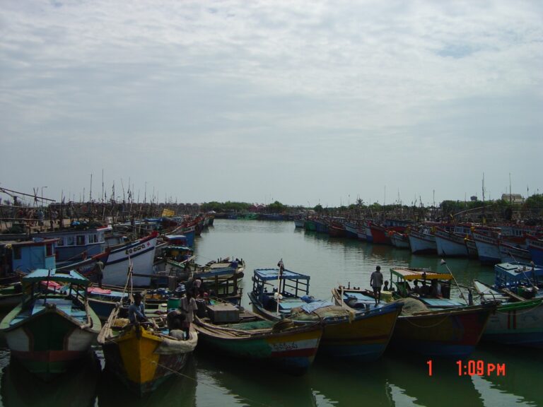 A view of fishing harbour in India