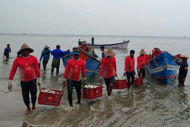 BOBP-IGO alerted that a large share of the region’s fishing fleet is nearing the end of its life cycle and requires urgent replacement and sustainable disposal.